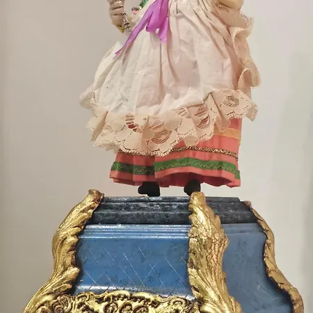 White Butterfly Neapol